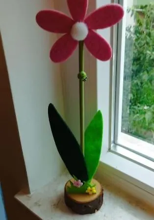 Daire Cute Marla Art Close To Center Pula