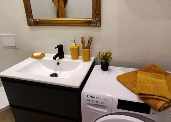 公寓 Cute Marla Art Close To Center 普拉