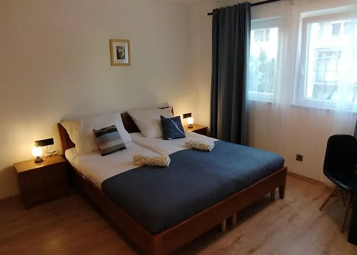 公寓 Cute Marla Art Close To Center 普拉